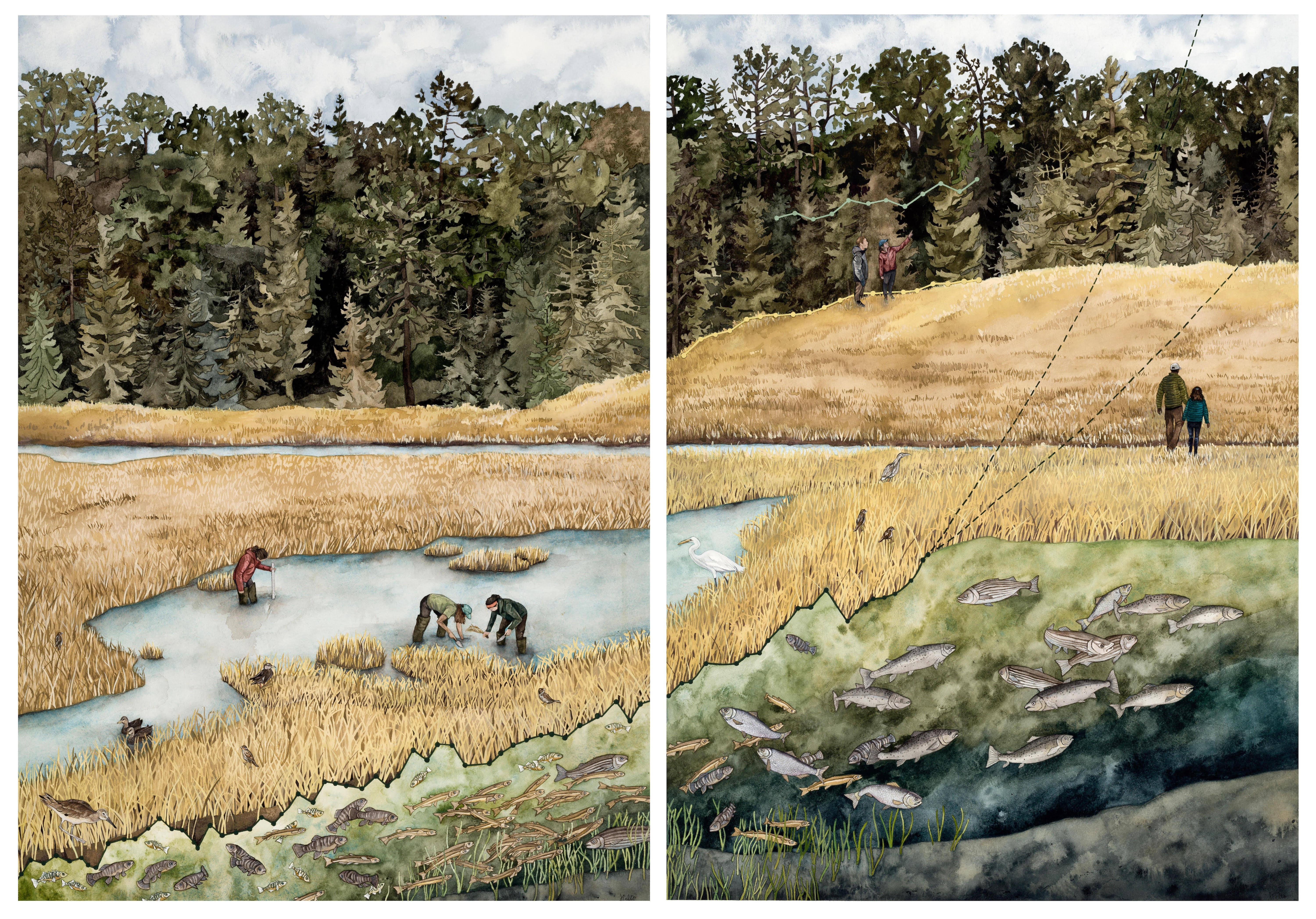 A vibrant landscape painting of people walking in a hay field, others standing on a hill with pine trees in the background, a stream with many fish swimming in it, birds and people in a pond planting hay and measuring water depth and birds all around.