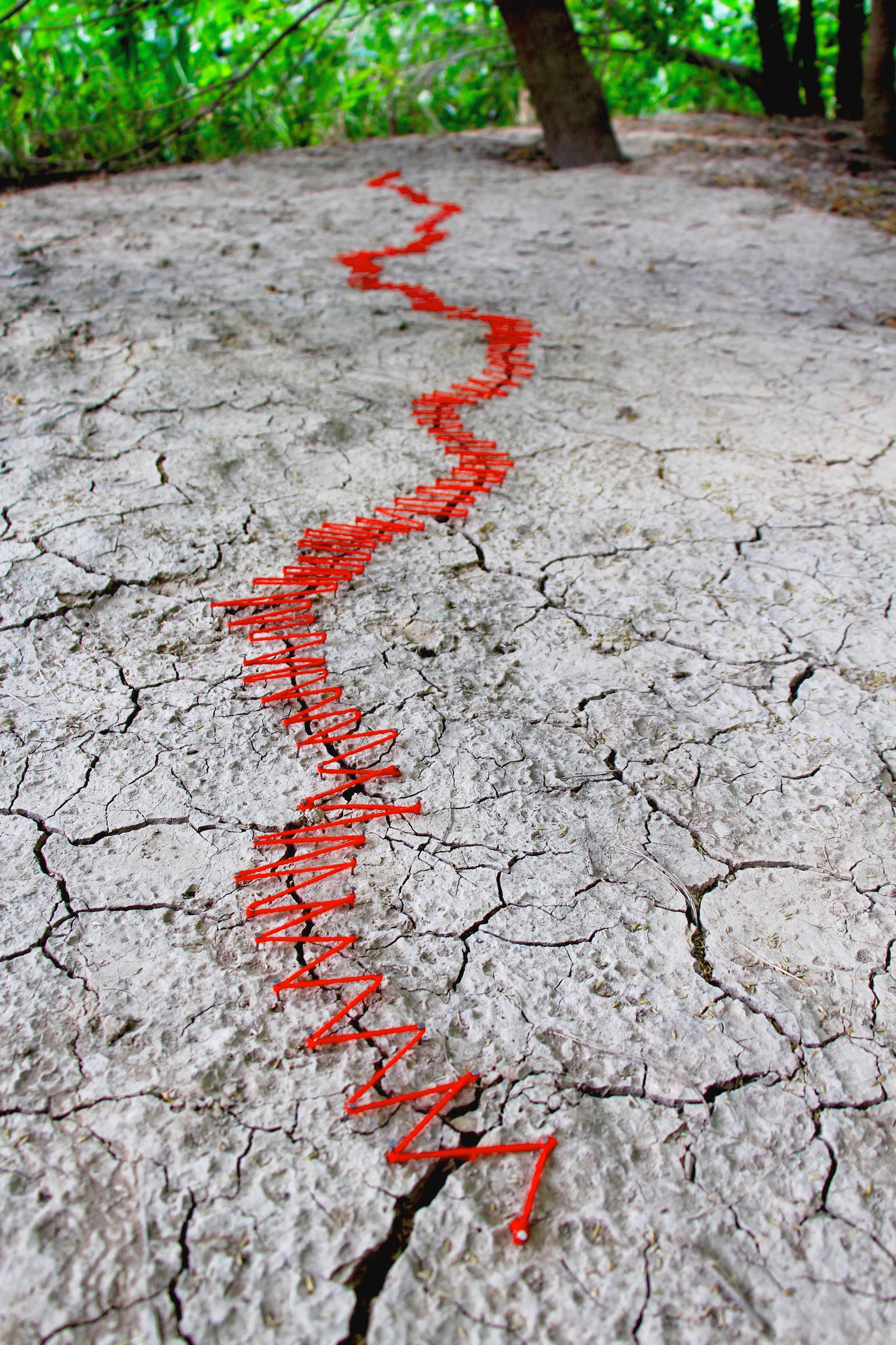 DRY earth cracked and seemingly sewed together with a red zig zag yarn with green leaves and tree stumps in a distance.