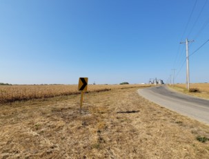 Image of drought conditions on field and grass