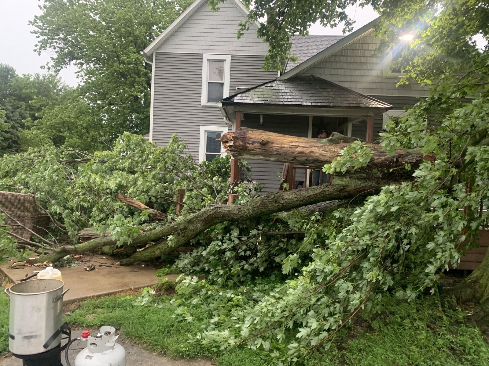 Picture of wind tree damage in bowling green ohio