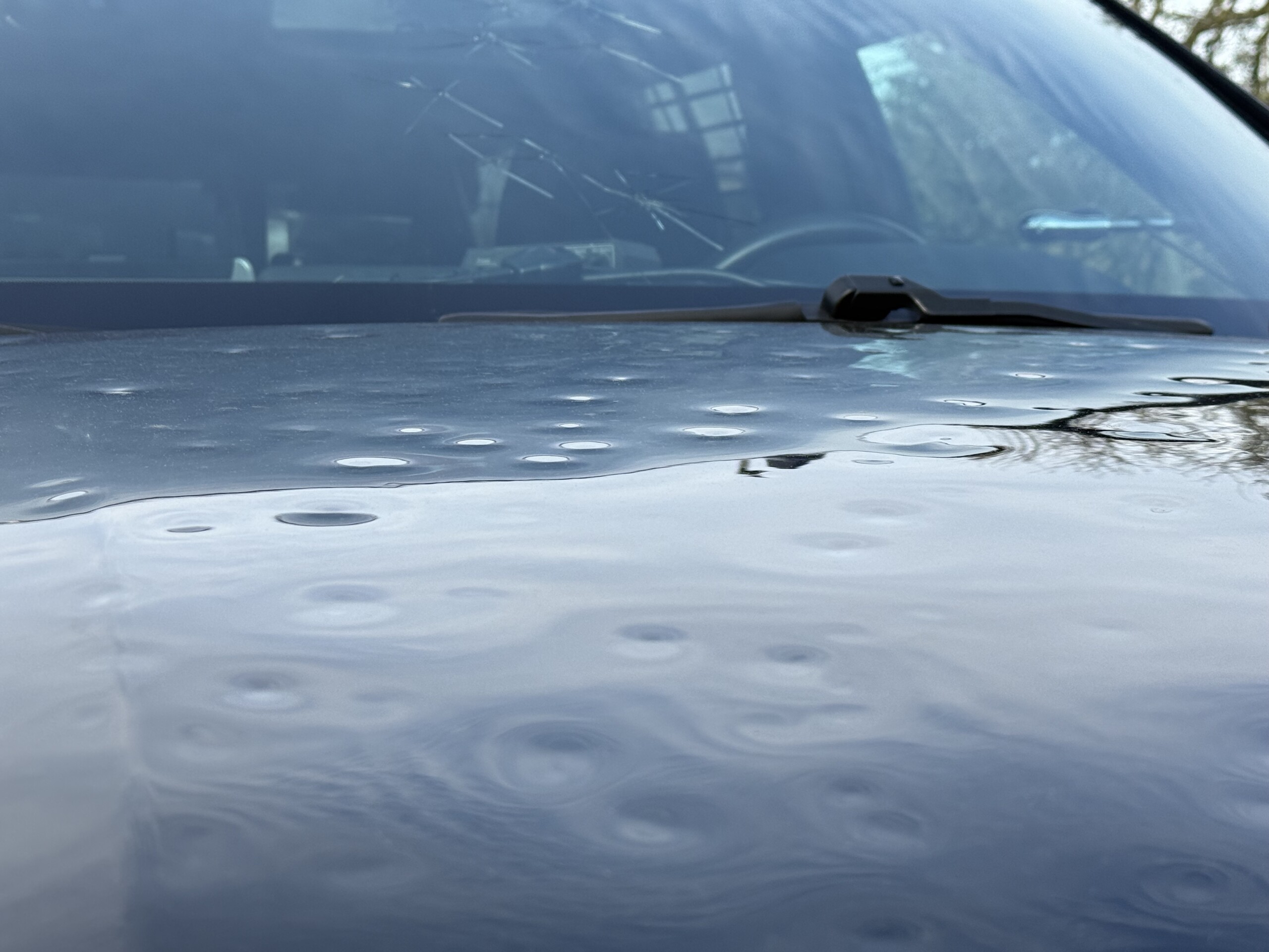 Police car hood with cracks in windshield and dents in hood.