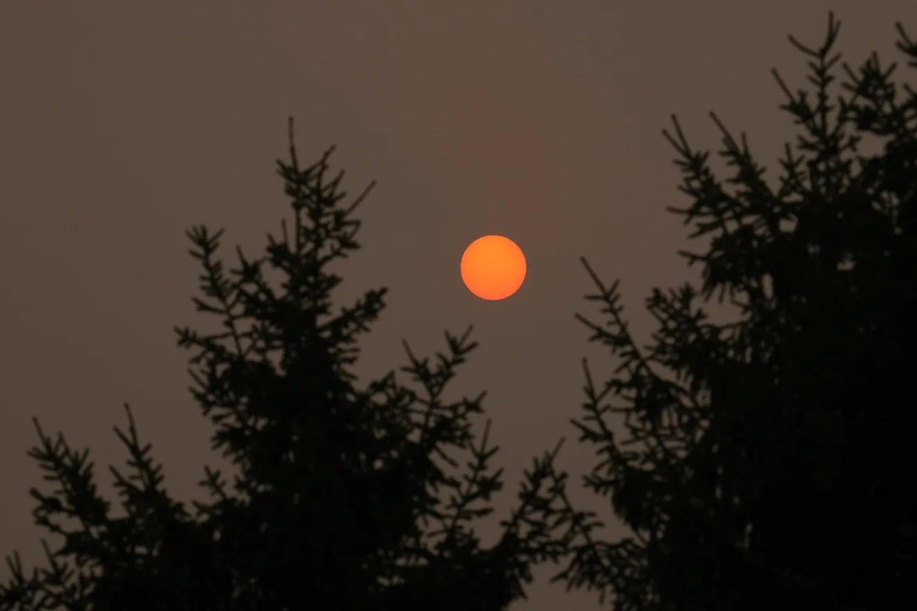 Dark grey sky with pine trees framing the outsides with an orange sun in the middle.