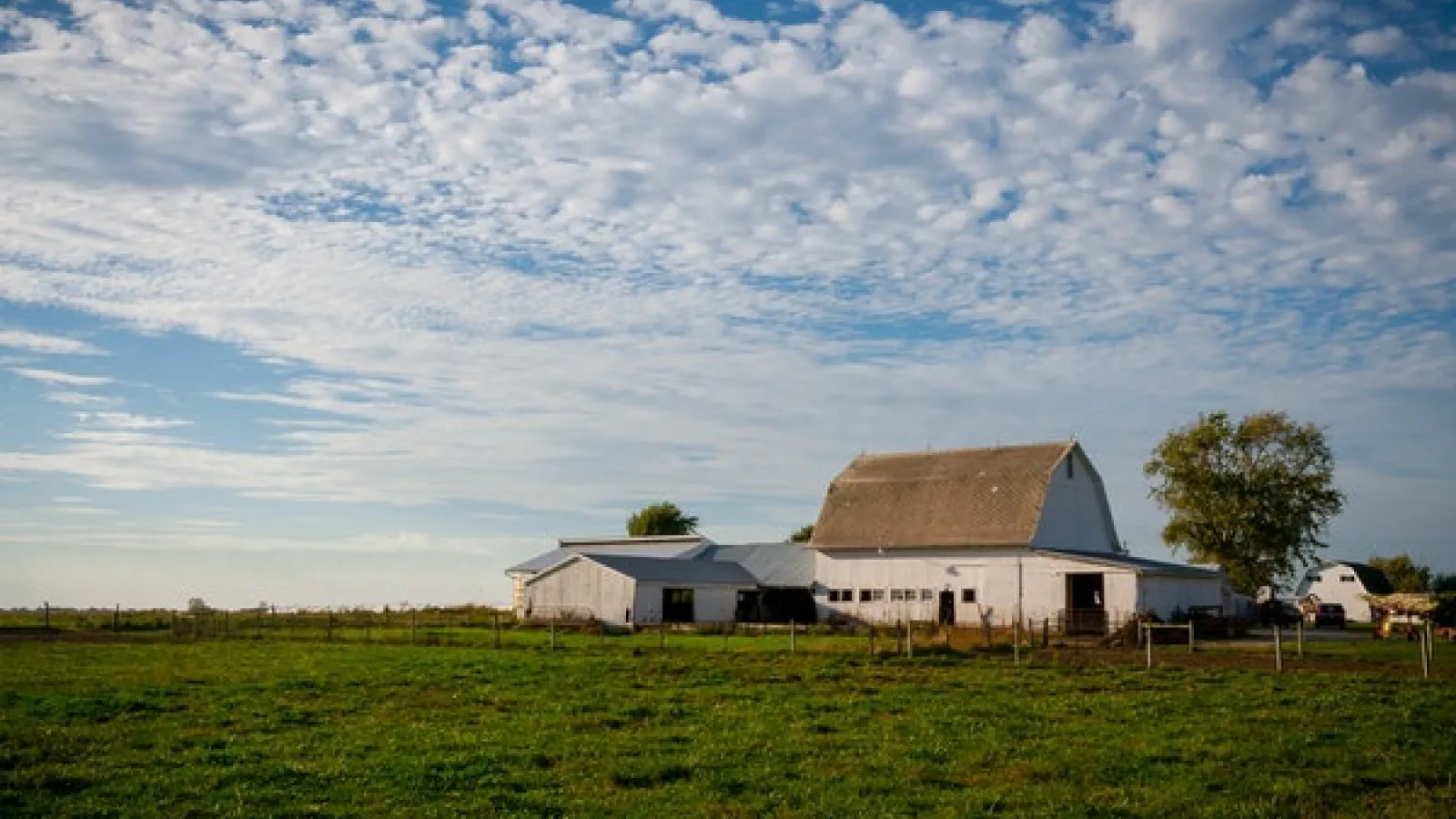 /House barn in a green field with blue skies and white clouds