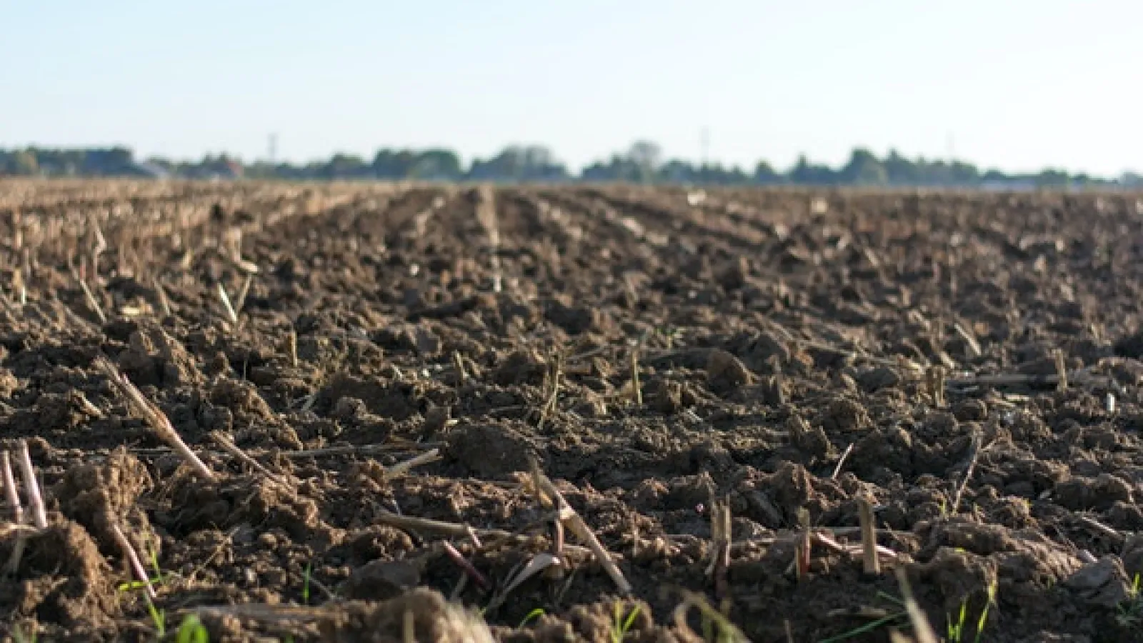 Eye-level Photo Of soil and Cultivated Land
