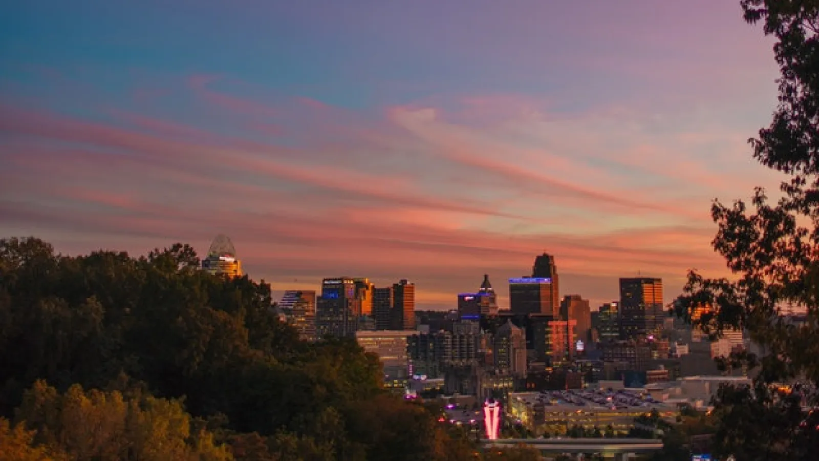 View from a hill among trees of downtown Cincinnati buildings during sunrise, blue-pink skies with some light feather white-pink clouds  