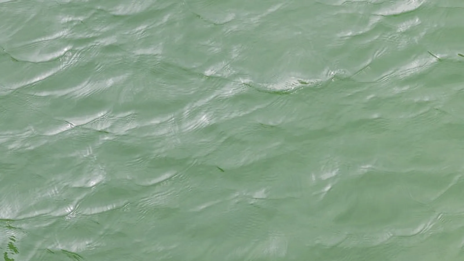 image from above of green body of water with light waves  