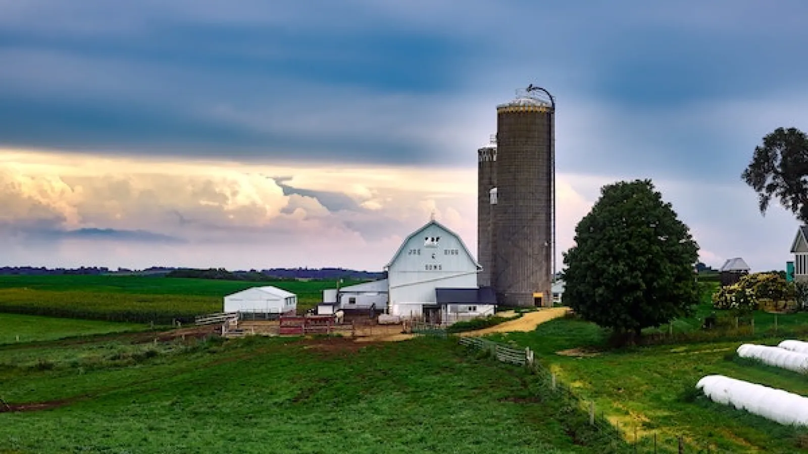 A farm with green fields of vegetation and wire fence with some white buildings and barn and 2 concrete tall silos and a tree on the right with a 3 floating row covers  on the ground and white clouds and blue skies