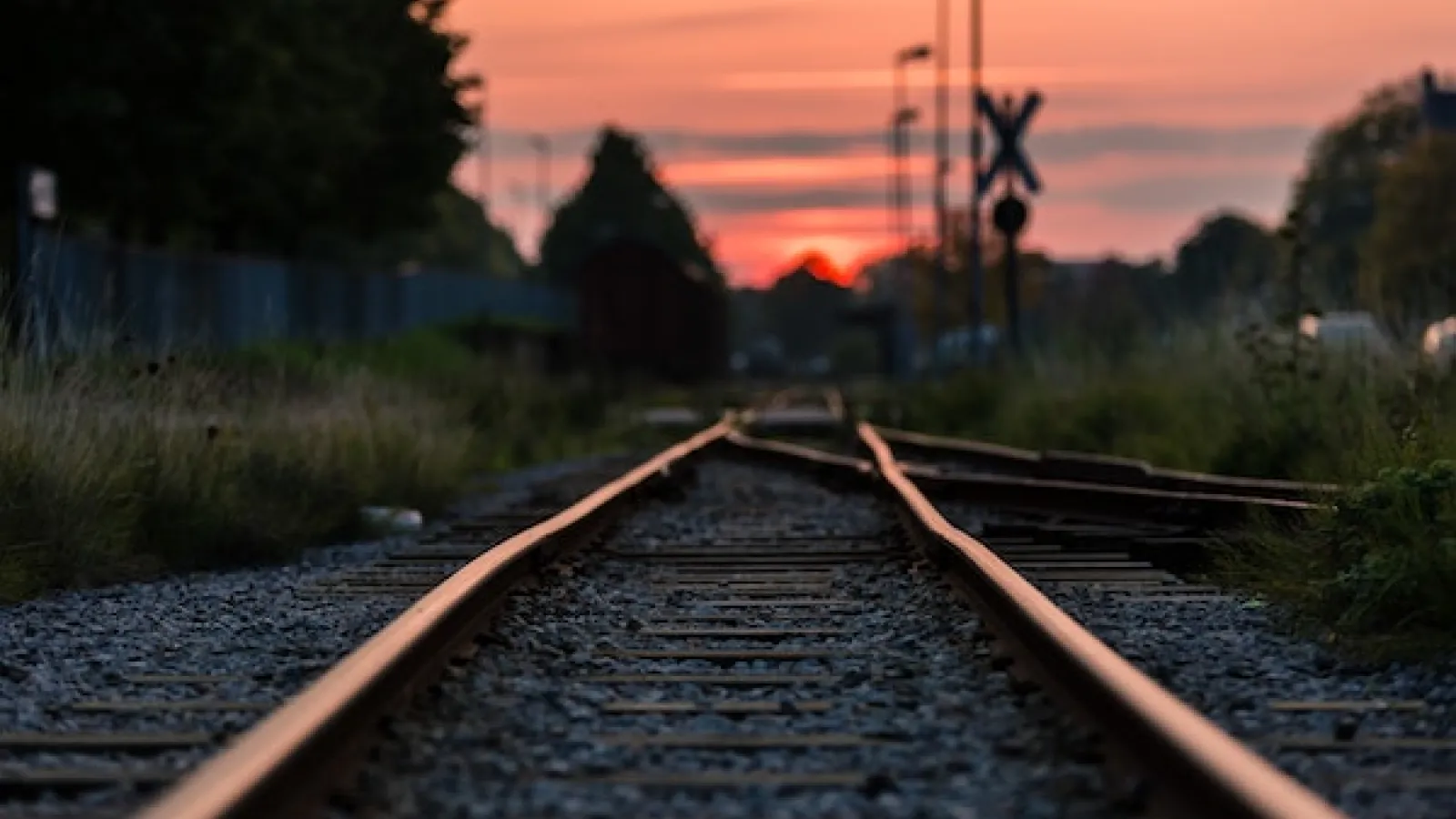 train tracks among green trees and shrubs at sunset 