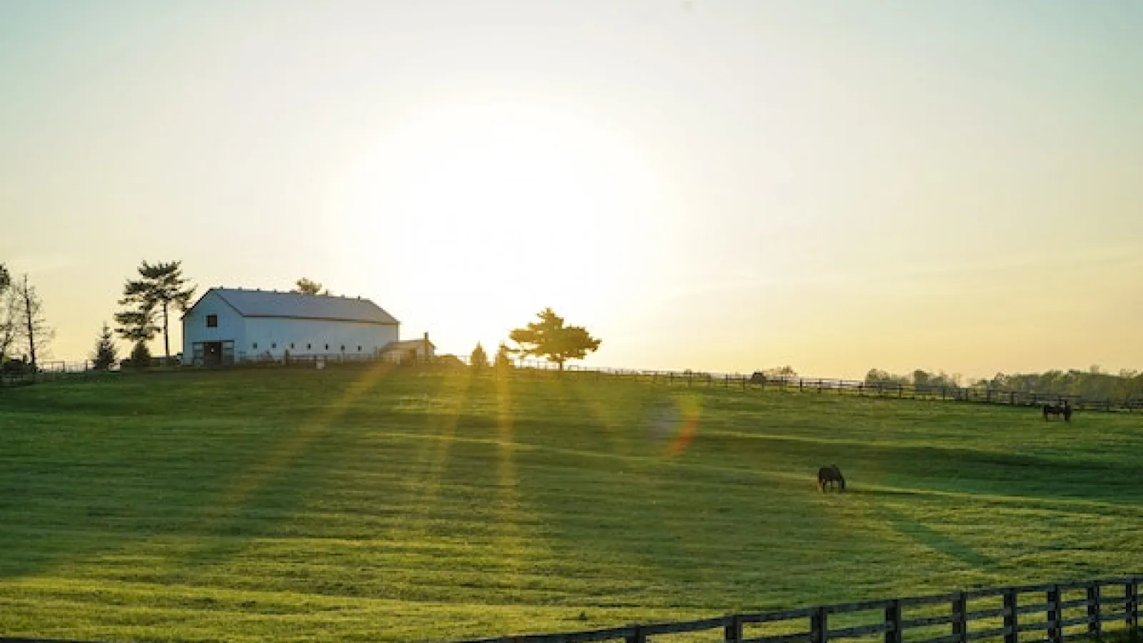 White farmhouse in a distance in a grass field and wooden fence in foreground and sun behind the house