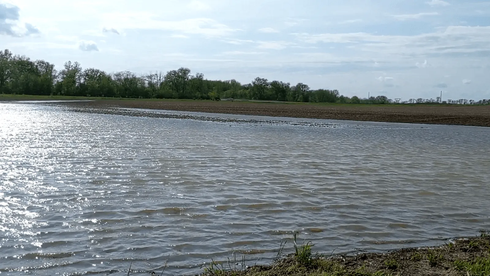 Landscape of water in the foreground with the shore and a tree line in the background under blue skied and clouds 