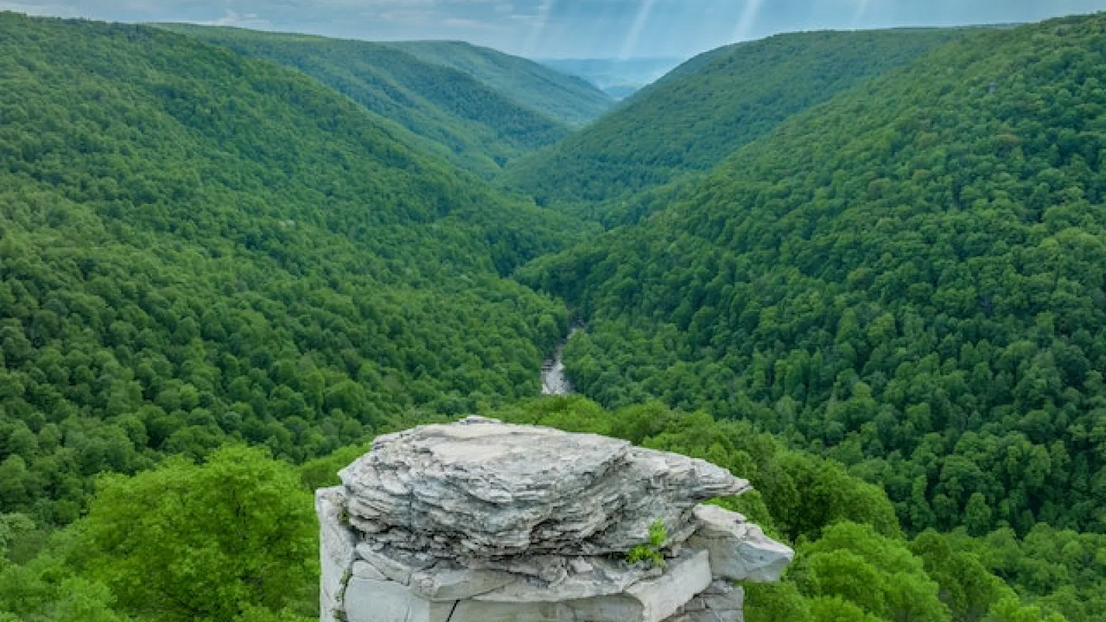 Valley with trees and mountain in a distance.