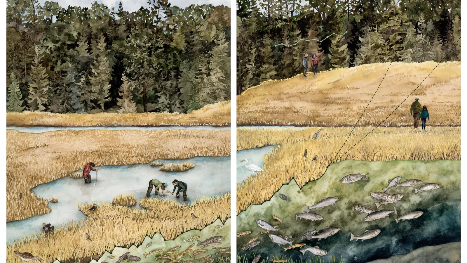A vibrant painting of people in a hay field, others on a hill with pine trees, a stream with fish, and birds around a pond where people are planting hay and measuring water depth
