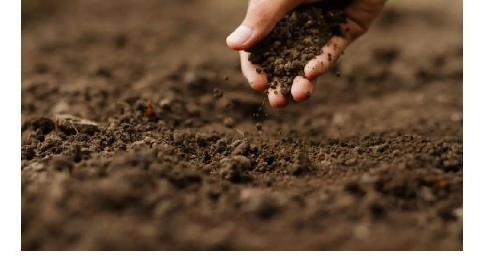 Close up hand picking up soil