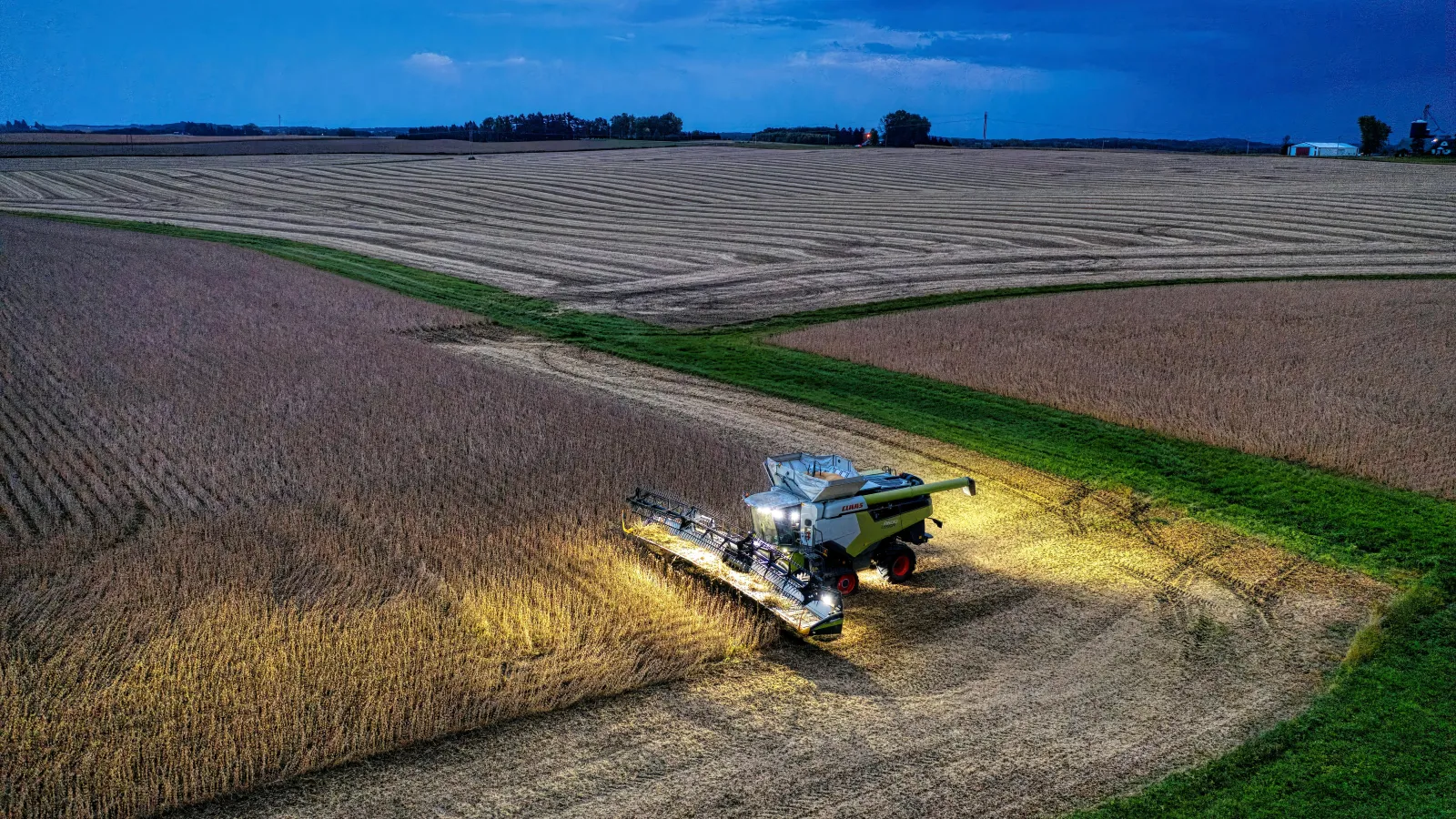 Combine Harvester on Soybean Field in Evening.
