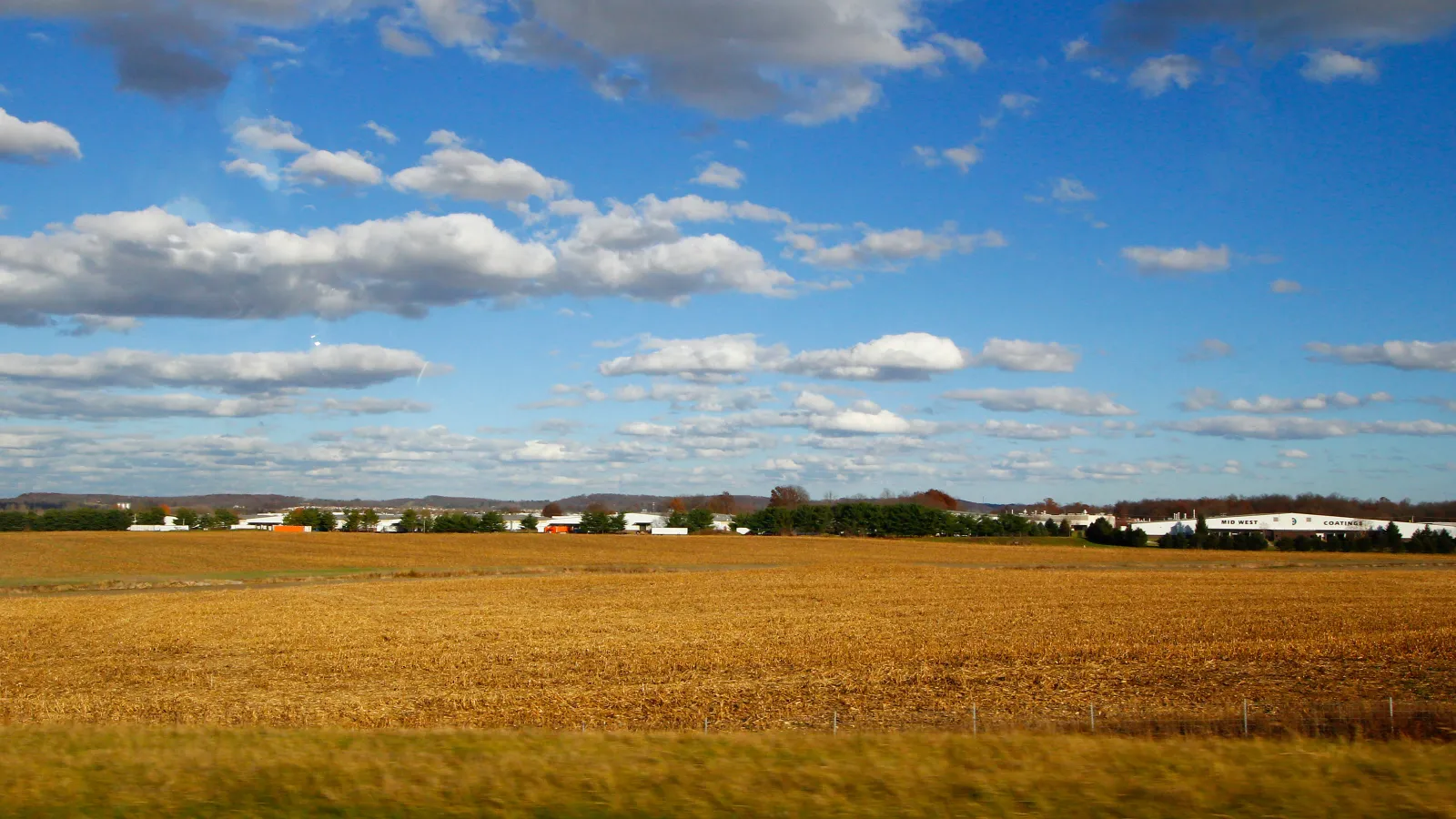 Agricultural field under blue skies with white clouds.