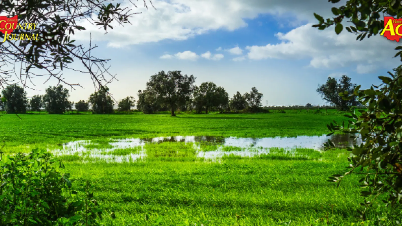 Lush green landscape with a small water body under a bright sky, framed by trees, featuring logos for "Country Journal" and "AgNet" on the upper corners.