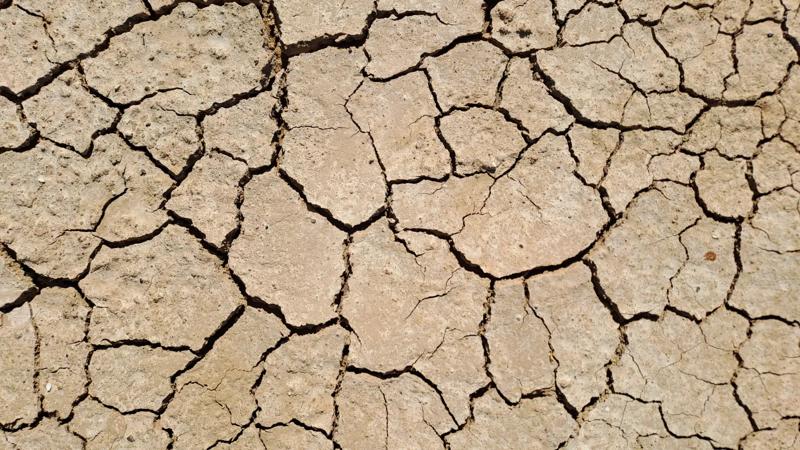 Dry cracked earth.