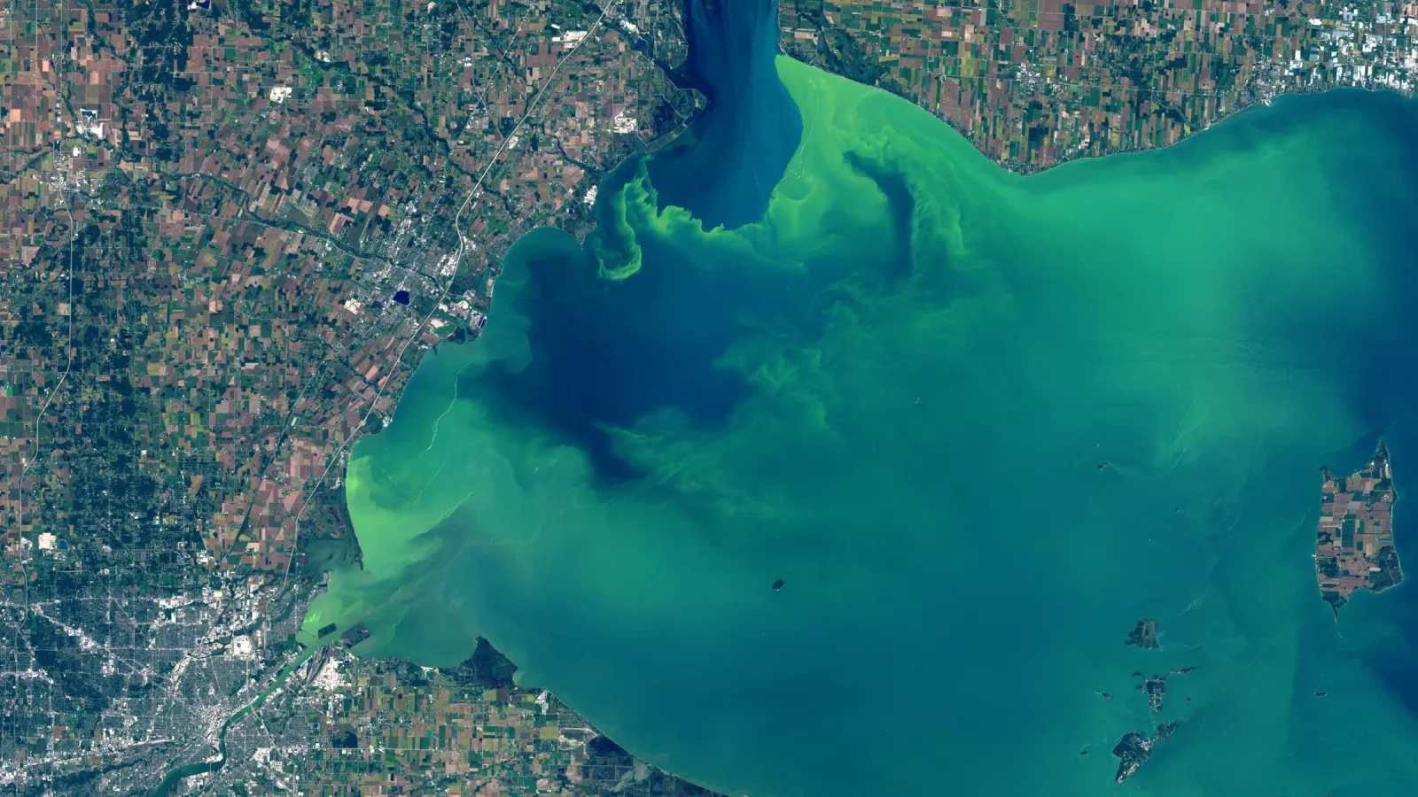 Lake Erie Algal Bloom Photo from September 26, 2017
