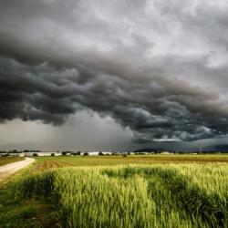 FARM App Helps Farmers. (Photo: Getty Images) FARM App Helps Farmers. (Photo: Getty Images)