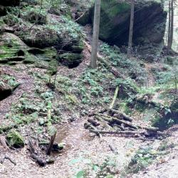 Hocking Hills Ohio Forest with rock outcrop