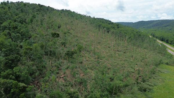 Tornado damage with a section of trees broken and snapped on top of a hill. 