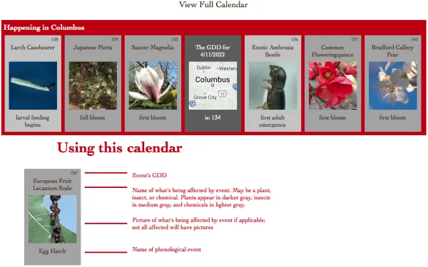 images of plants and pests based on notable events