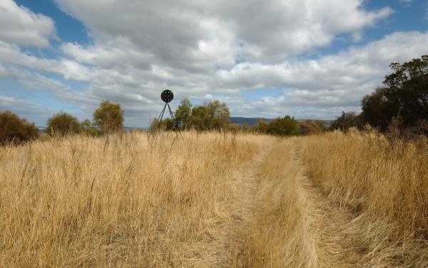 Dry grass field