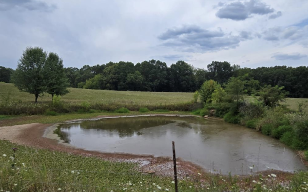 Pond