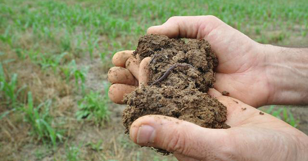 2025 Soil Health Webinar Series 