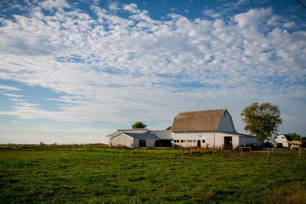/House barn in a green field with blue skies and white clouds