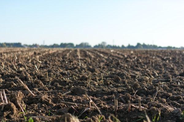 Eye-level Photo Of soil and Cultivated Land