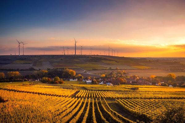 Sunrise vista overlooking field patches of vegetation and tree lines and white building in a valley with many wind turbines further in a distance on the hill as yellowish sunlight is shining from the right   with some white clouds while the sky transitioning from light blue to dark blue
