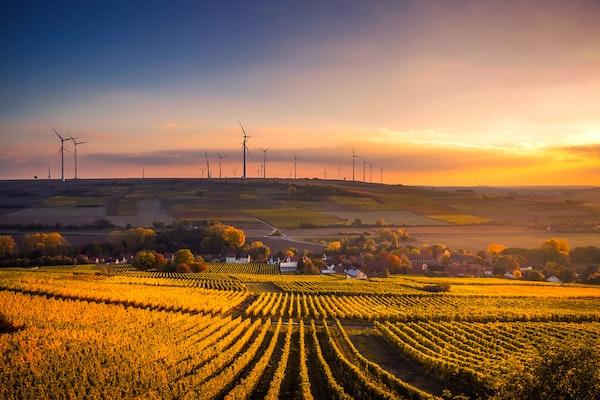 Sunrise vista overlooking field patches of vegetation and tree lines and white building in a valley with many wind turbines further in a distance on the hill as yellowish sunlight is shining from the right with some white clouds while the sky transitioning from light blue to dark blue