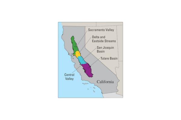 Graphic map of California with long strip in middle with different colors representing California's Central Valley