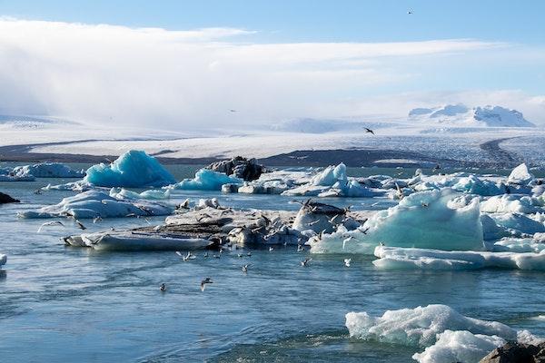 Birds on Ice Bergs in calm water under blue skies and white clouds