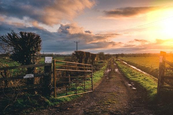 dirt road with water puddles and a metal gate opening into a grass field at sunrise..