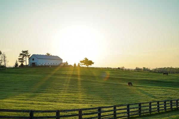 White farmhouse in a distance in a grass field and wooden fence in foreground and sun behind the house