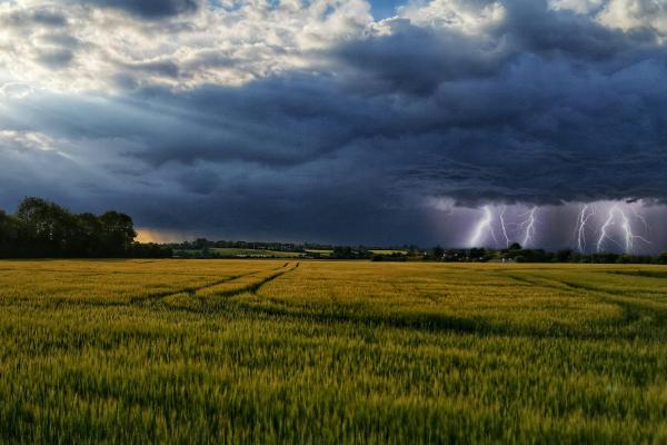 Green field with trees and houses in a distance, blue skies and white clouds on the left and dark clouds and lightning to the right,.