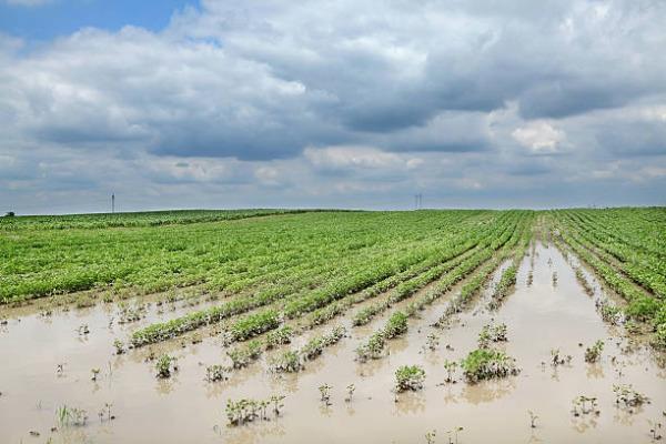 A flooded field.