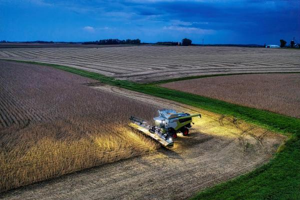 Combine Harvester on Soybean Field in Evening.