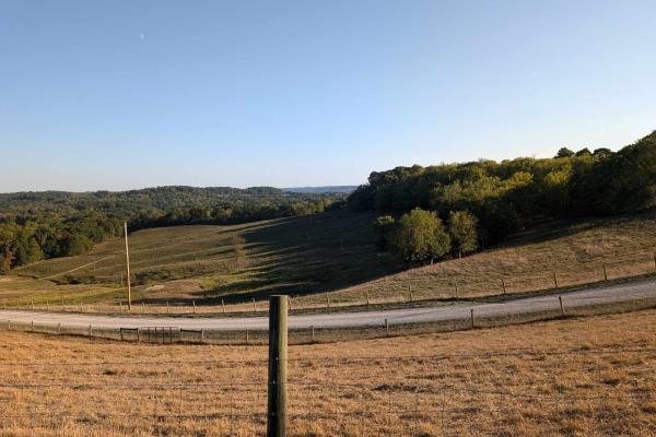 Dry pasture with wire fence and trees under blue skies.