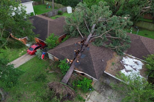 Aerial view of a large tree fallen on a house causing significant damage, with a red car parked nearby.