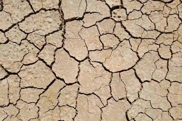 Dry cracked earth.