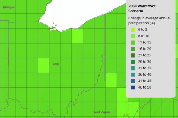 CREAT image showing change in average annual precipitation in percentage by 2060 given a warm/wet future scenario. 