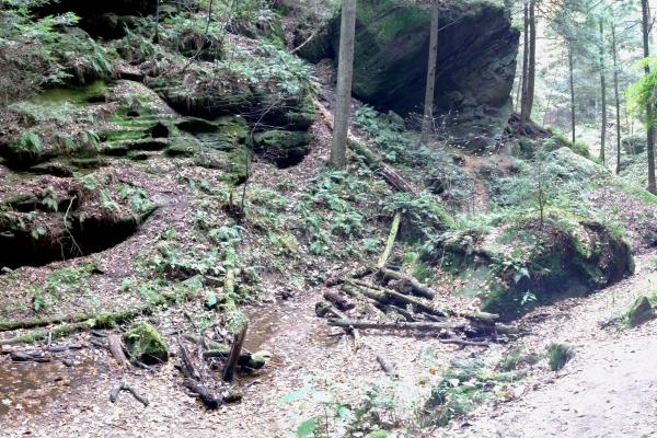Hocking Hills Ohio Forest with rock outcrop