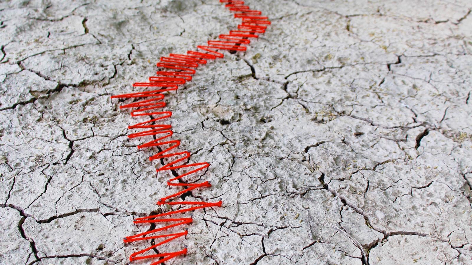 DRY earth cracked and seemingly sewed together with a red zig zag yarn with green leaves and tree stumps in a distance.